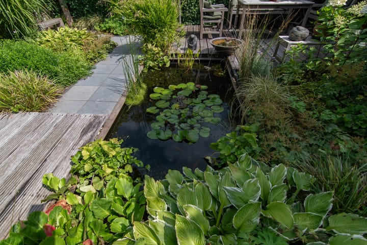 Foto 27 van Lavendeltuin 30