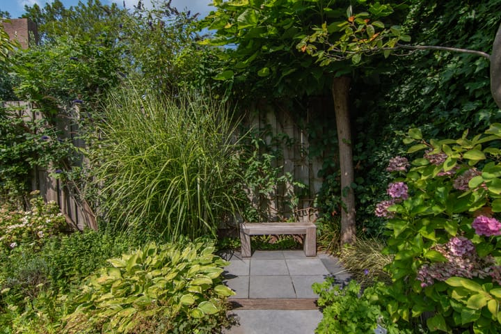 Foto 29 van Lavendeltuin 30