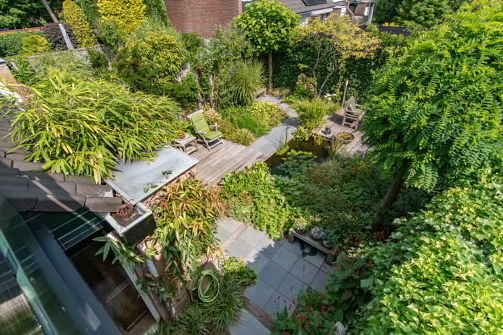 Foto 34 van Lavendeltuin 30