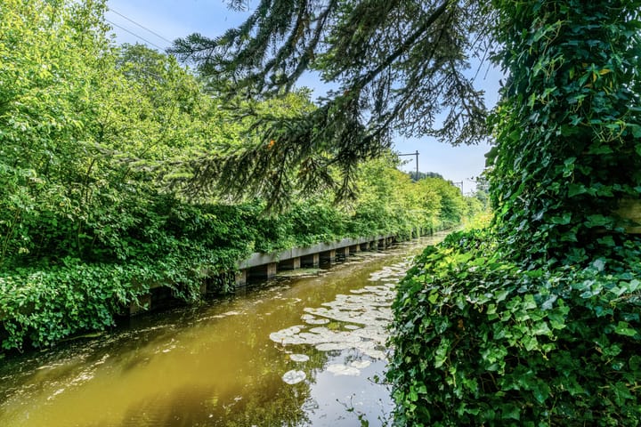 Foto 38 van Rietzanger 55