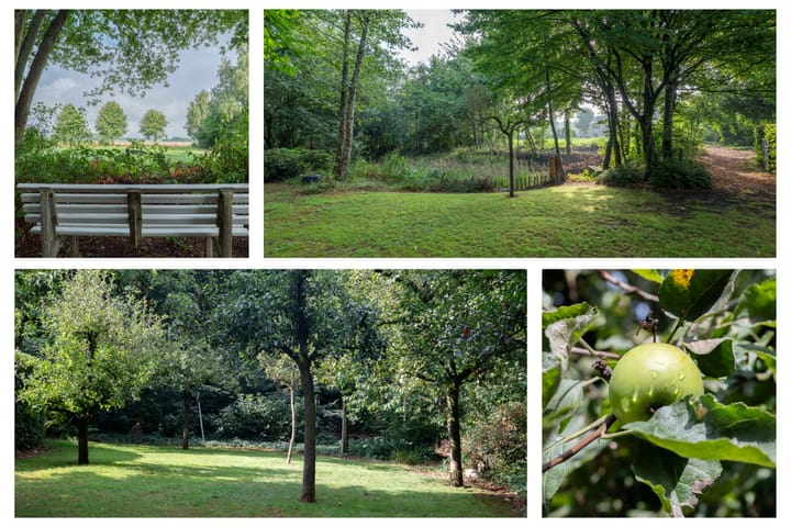 Foto 49 van Bosschenhoofdsestraat 6-A