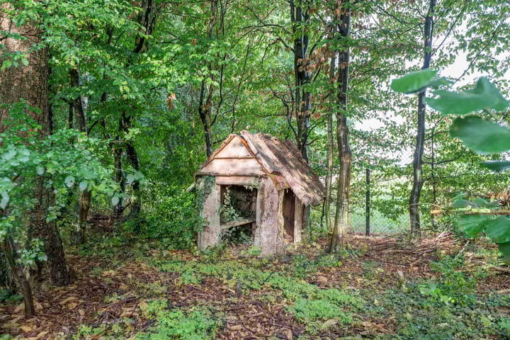 Foto 51 van Bosschenhoofdsestraat 6-A