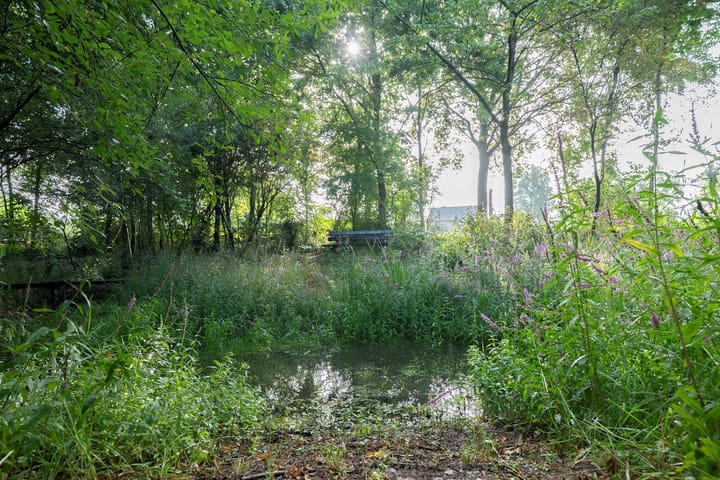 Foto 52 van Bosschenhoofdsestraat 6-A