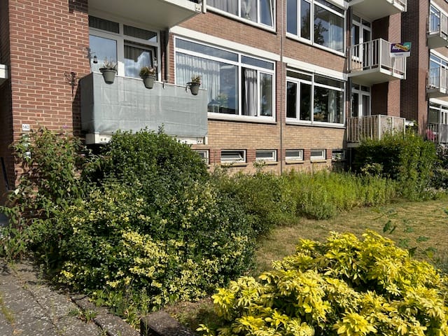 Foto 4 van Constantijn Huygensstraat 134