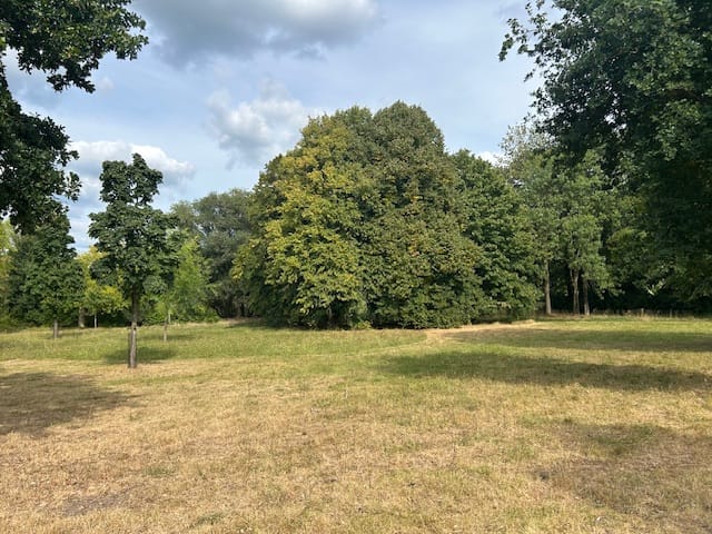 Foto 10 van Constantijn Huygensstraat 134