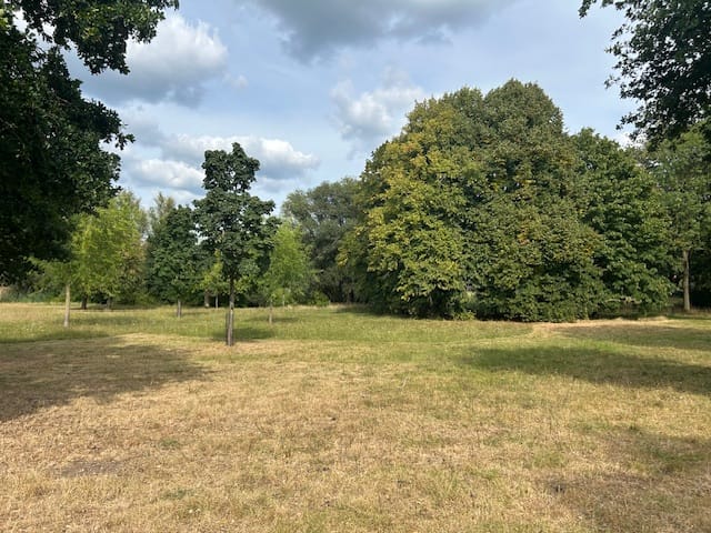 Foto 11 van Constantijn Huygensstraat 134