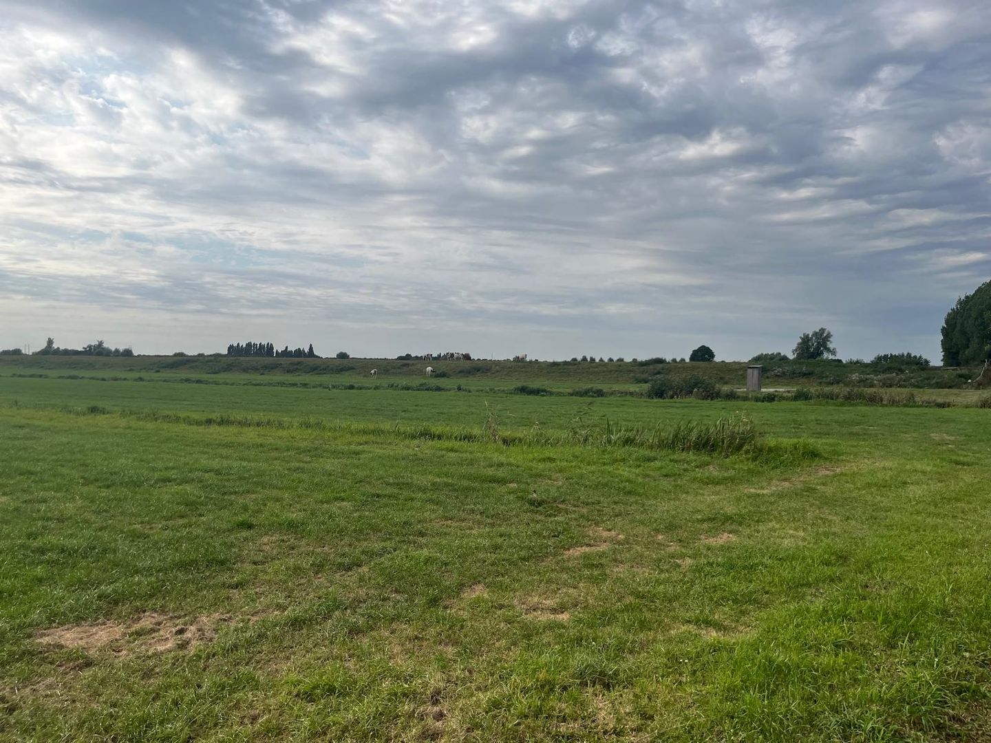 View photo 5 of Oudendijkseweg