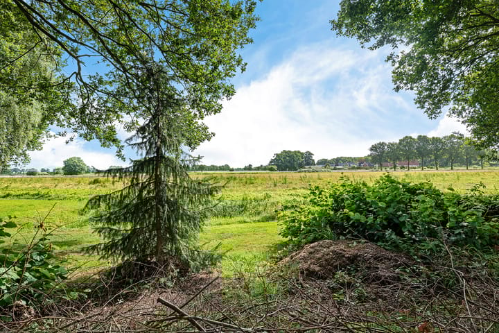 Foto 53 van De Kubbing 4