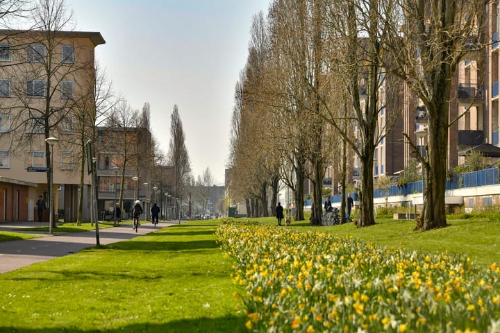 Foto 20 van H.J.M. Walenkampstraat 44