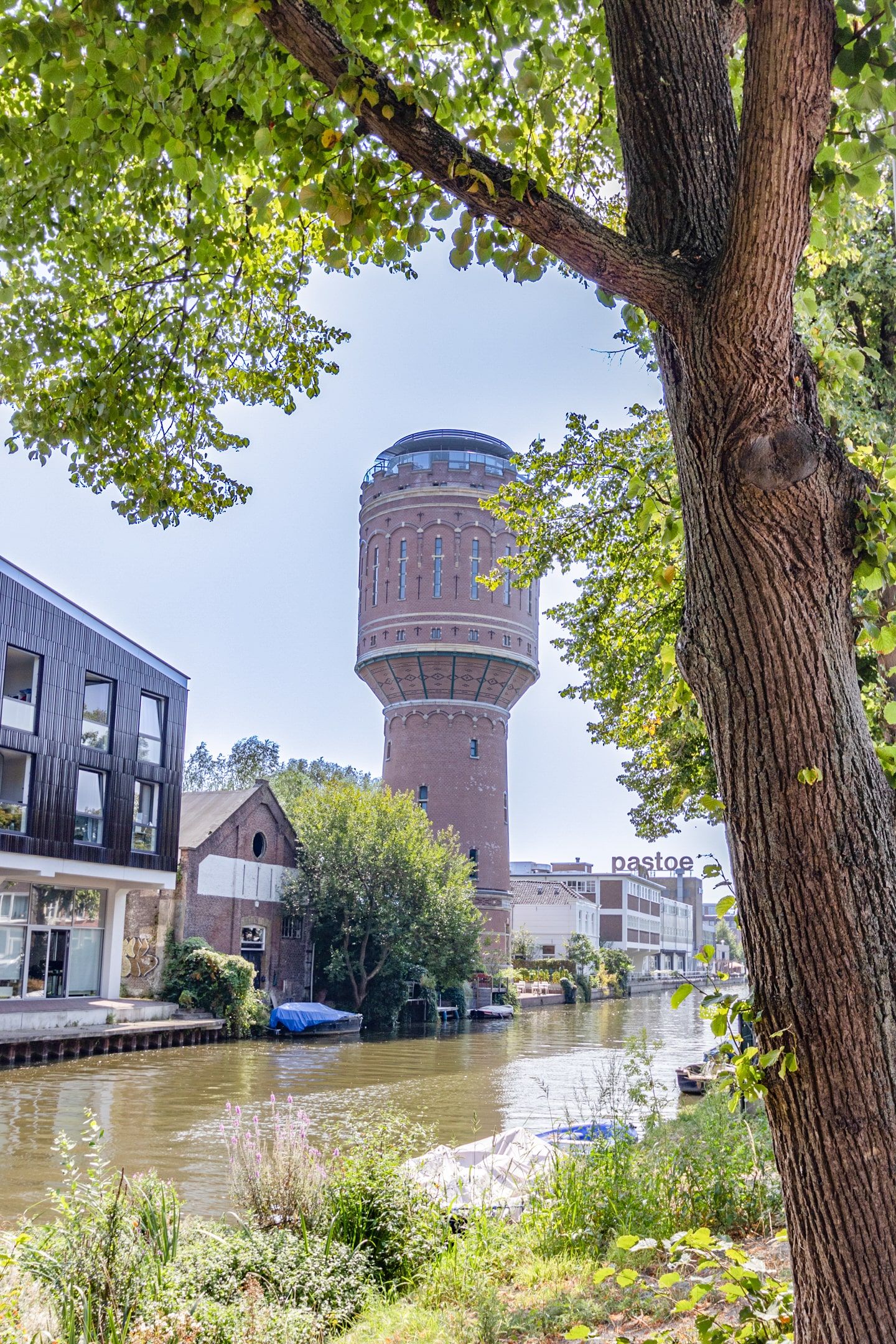 Foto 14 van Reyer Anslostraat 40