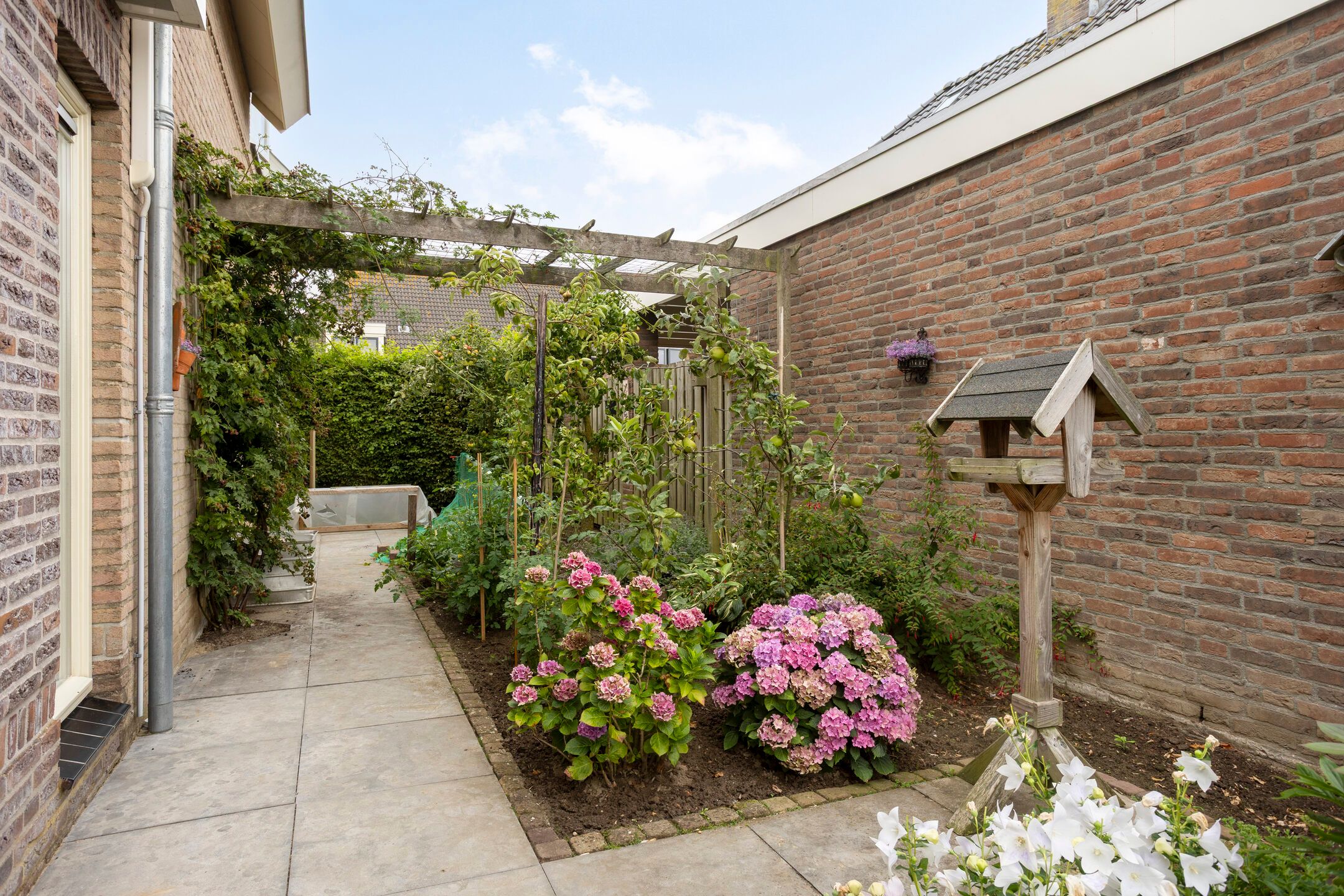 Foto 33 van Polshof 61