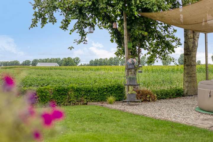 Foto 38 van Polshof 61