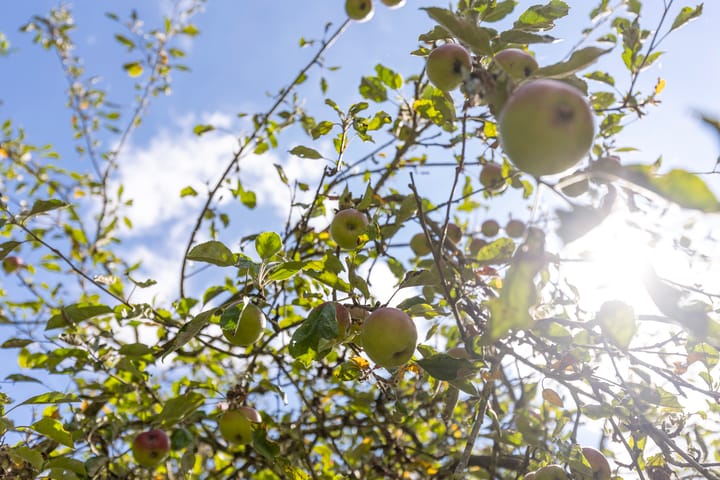 Foto 53 van Cabauwsekade 88-A