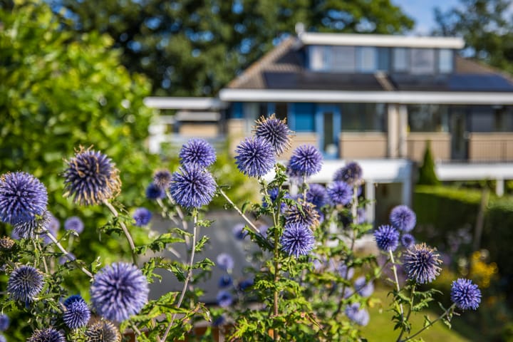 Foto 56 van Tolgaarderserf 20