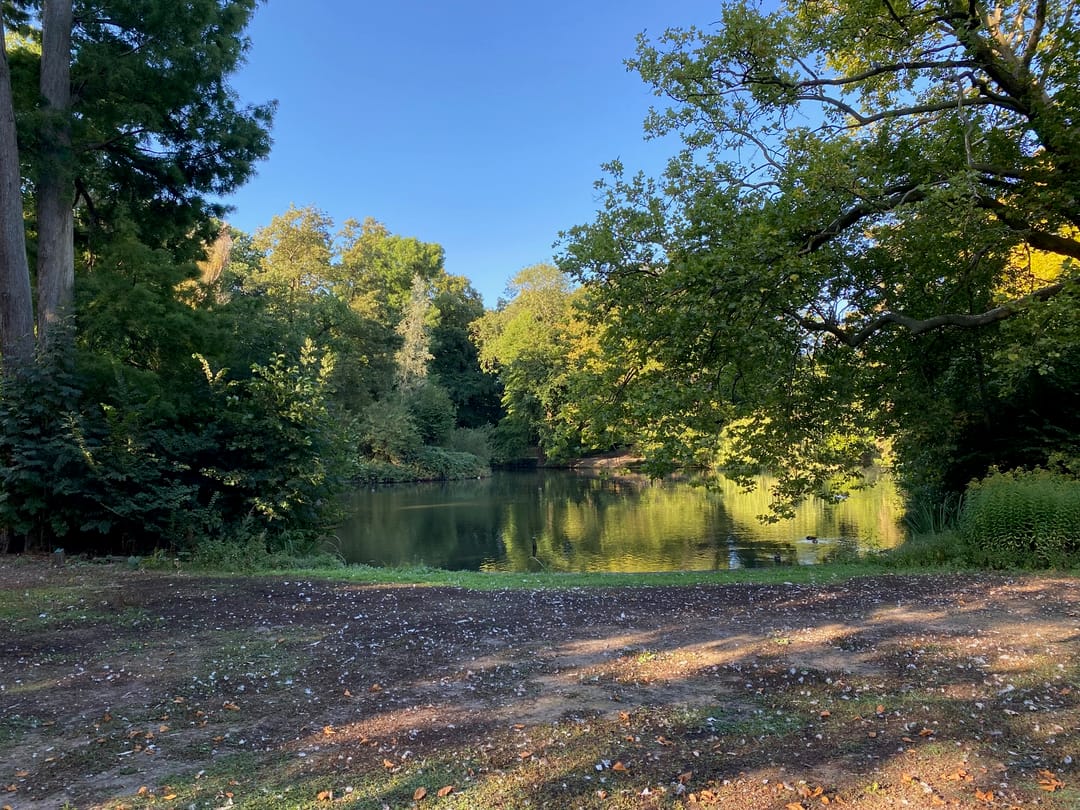 Foto 17 van CAB-rondom 229