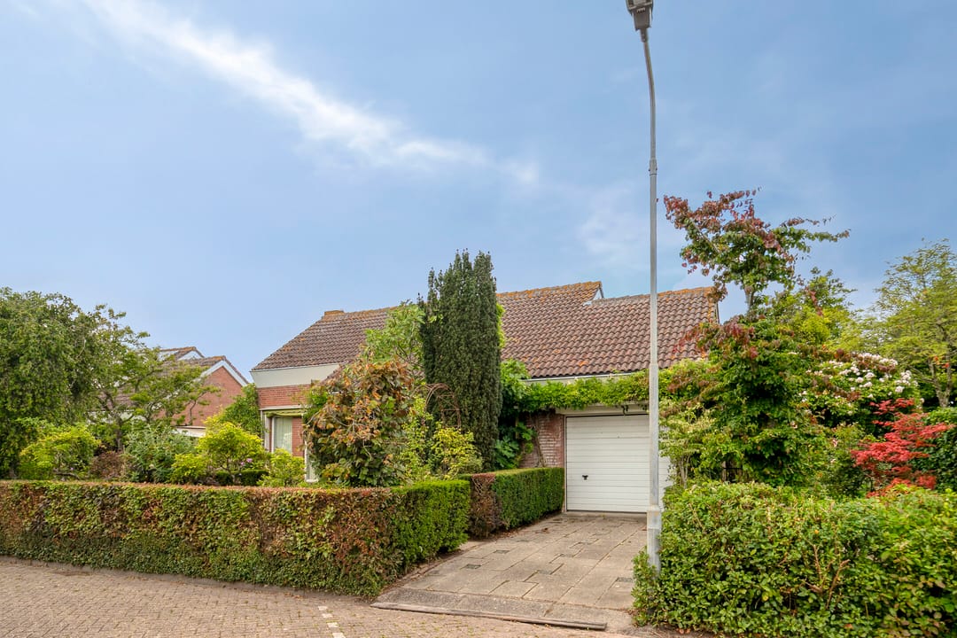 Foto 1 van Den Domp 9