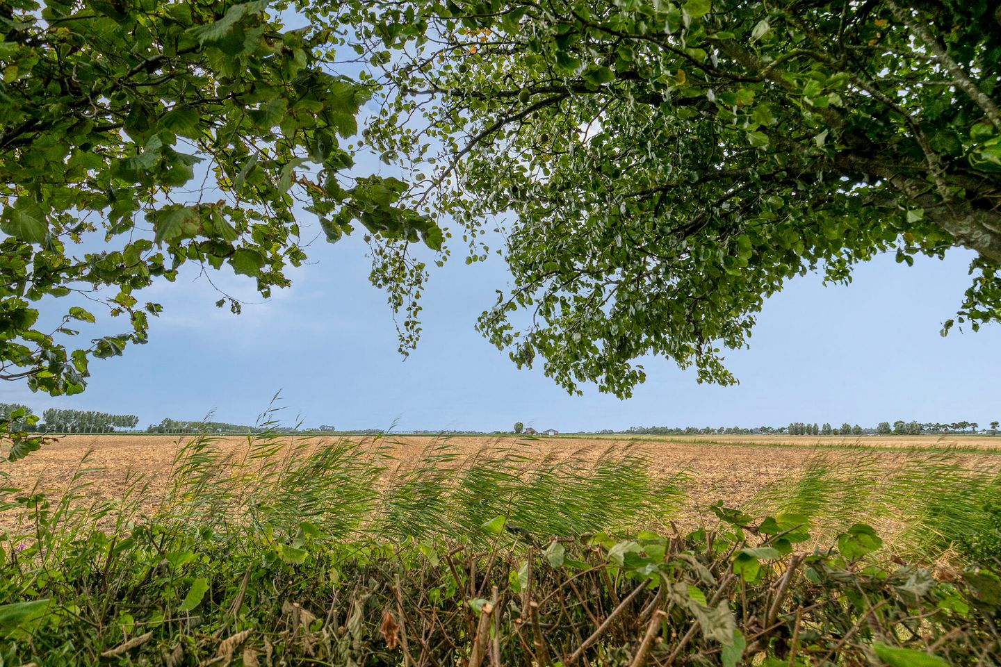 Foto 5 van Den Domp 9