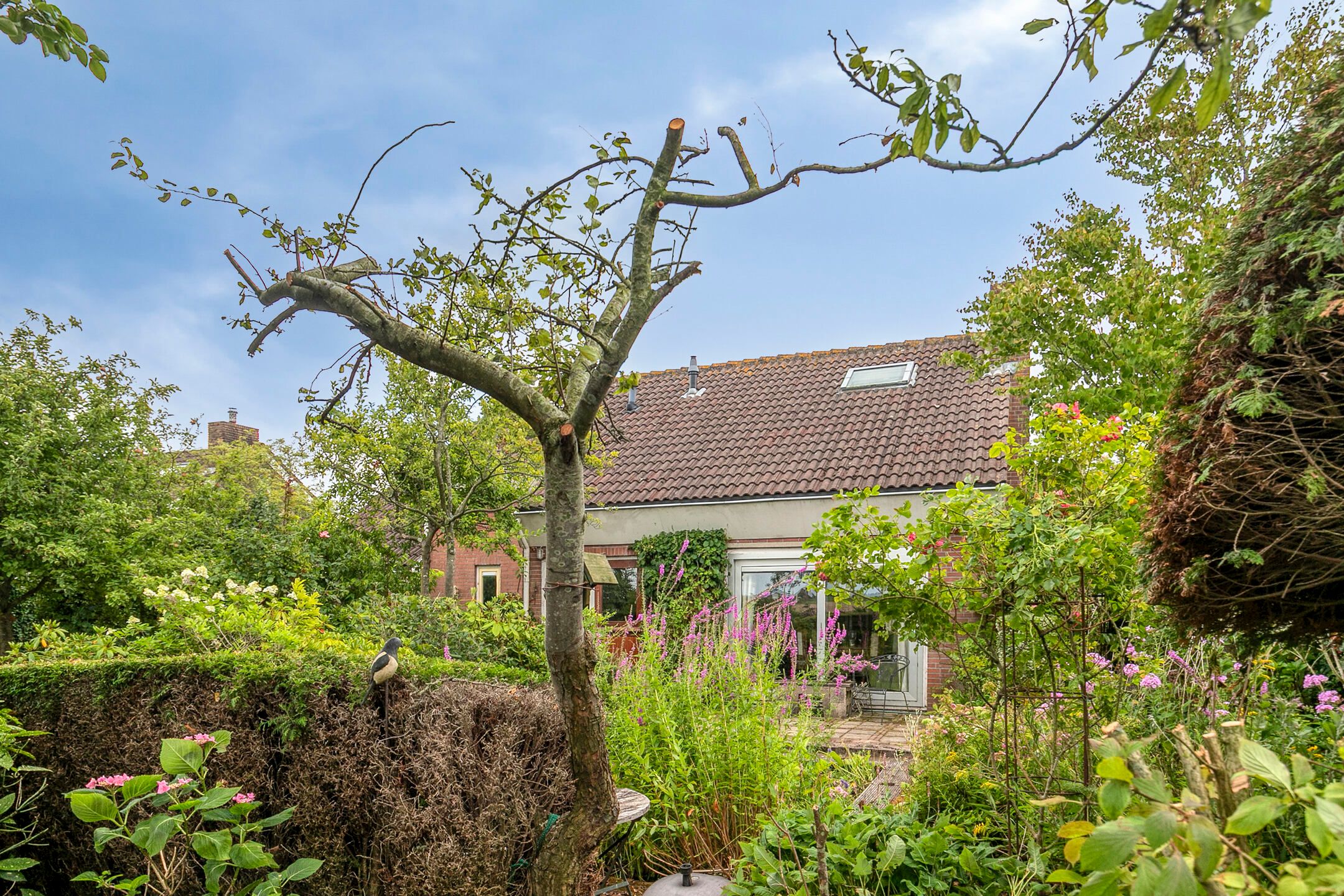 Foto 33 van Den Domp 9