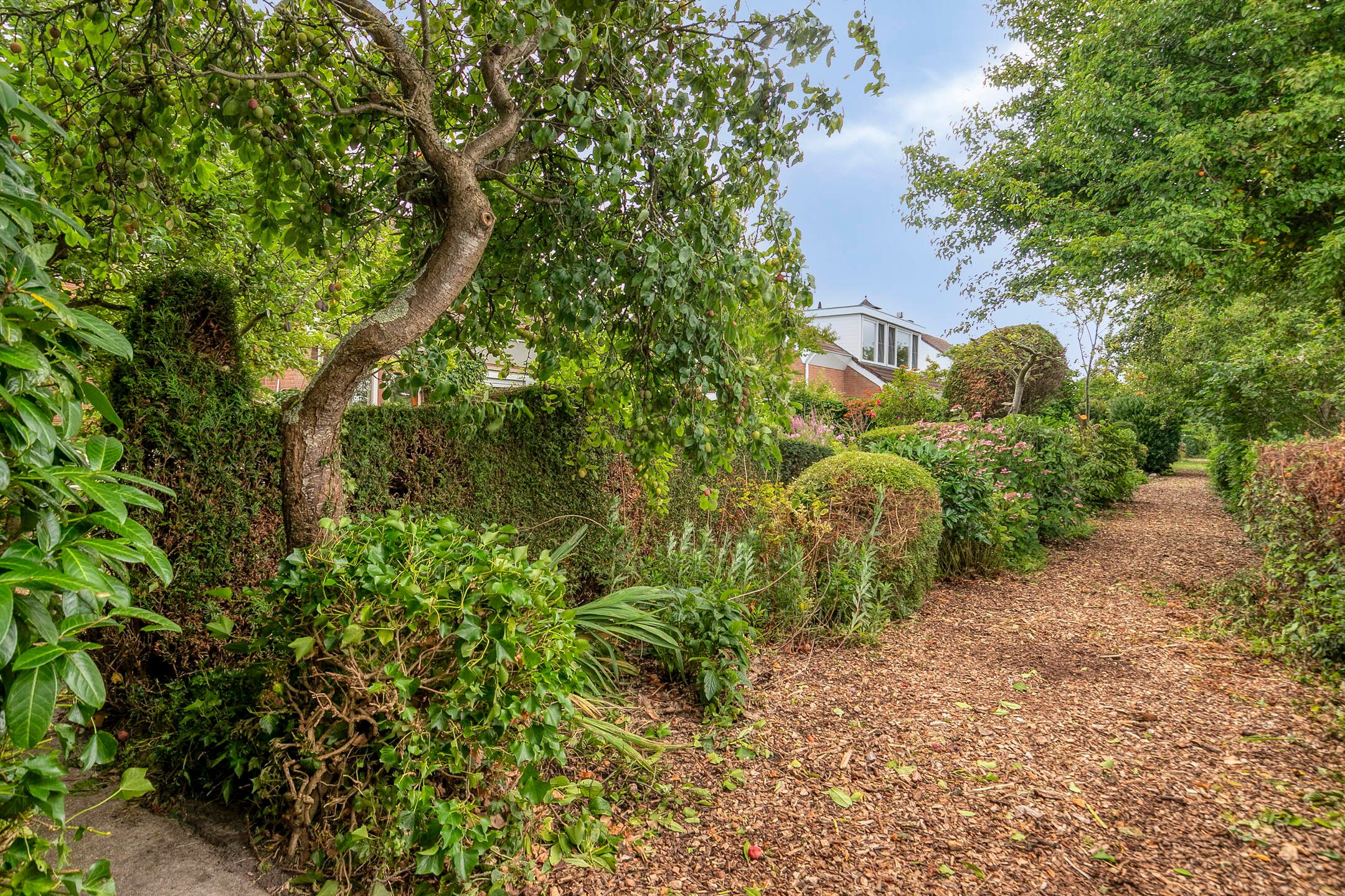 Foto 42 van Den Domp 9