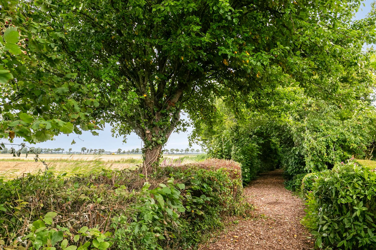 Foto 44 van Den Domp 9