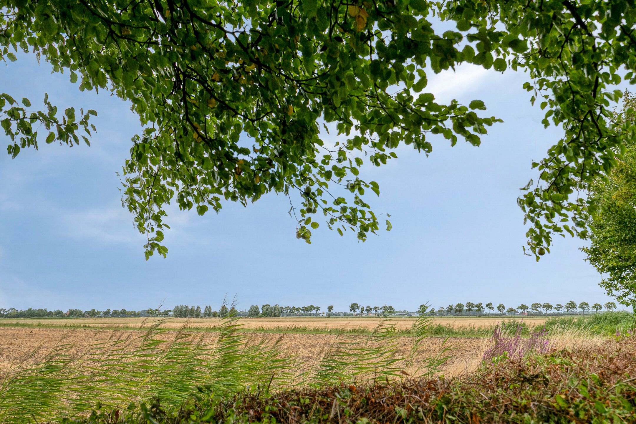 Foto 45 van Den Domp 9