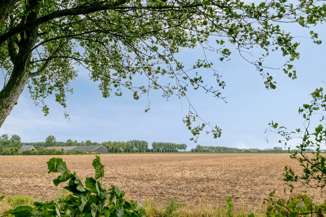 Foto 46 van Den Domp 9