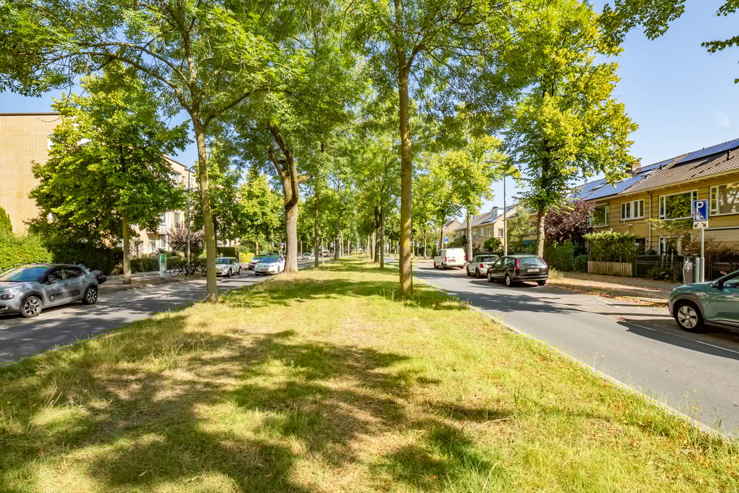 Photo 32 of Joseph Haydnlaan 34-3