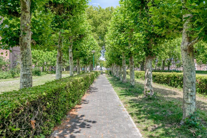 Foto 29 van Mgr. Nolensplein 21-B1