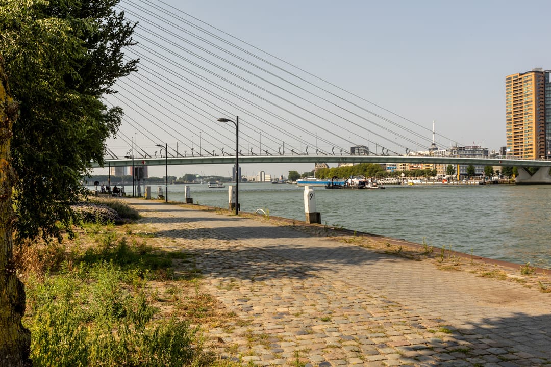 Photo 38 of Prins Hendrikstraat 17-A