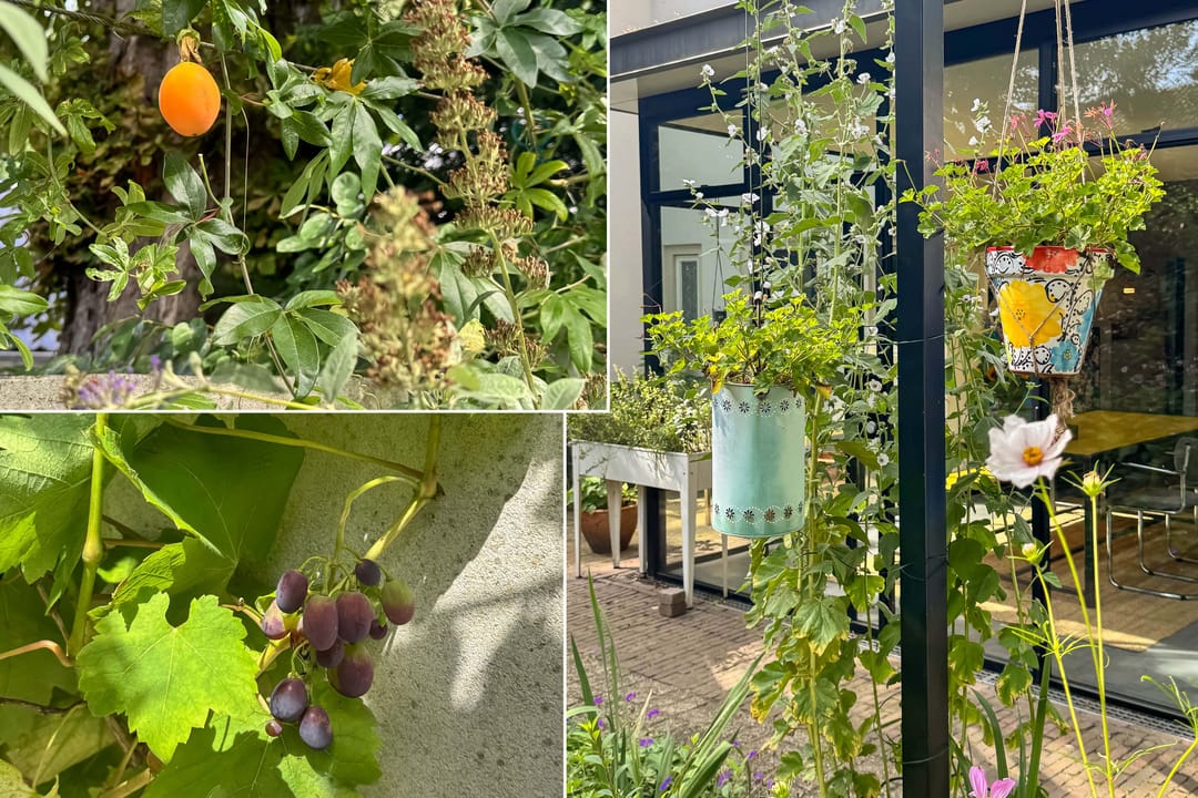 Foto 62 van Hamseweg 37-A