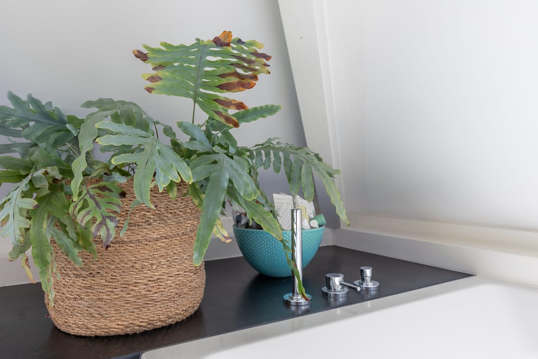 Foto 52 van Hamseweg 37-A