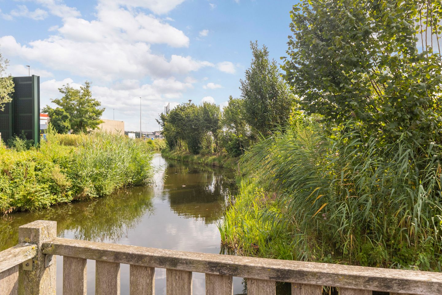 Foto 40 van Petrus Planciusstraat 21