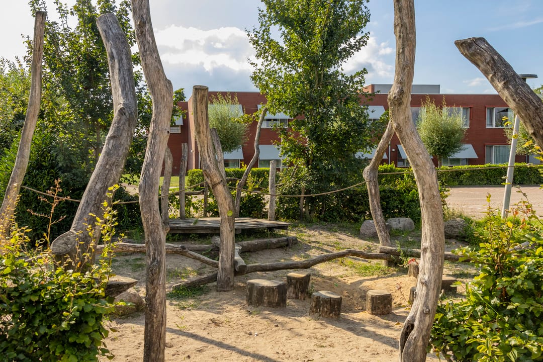 Foto 41 van Petrus Planciusstraat 21