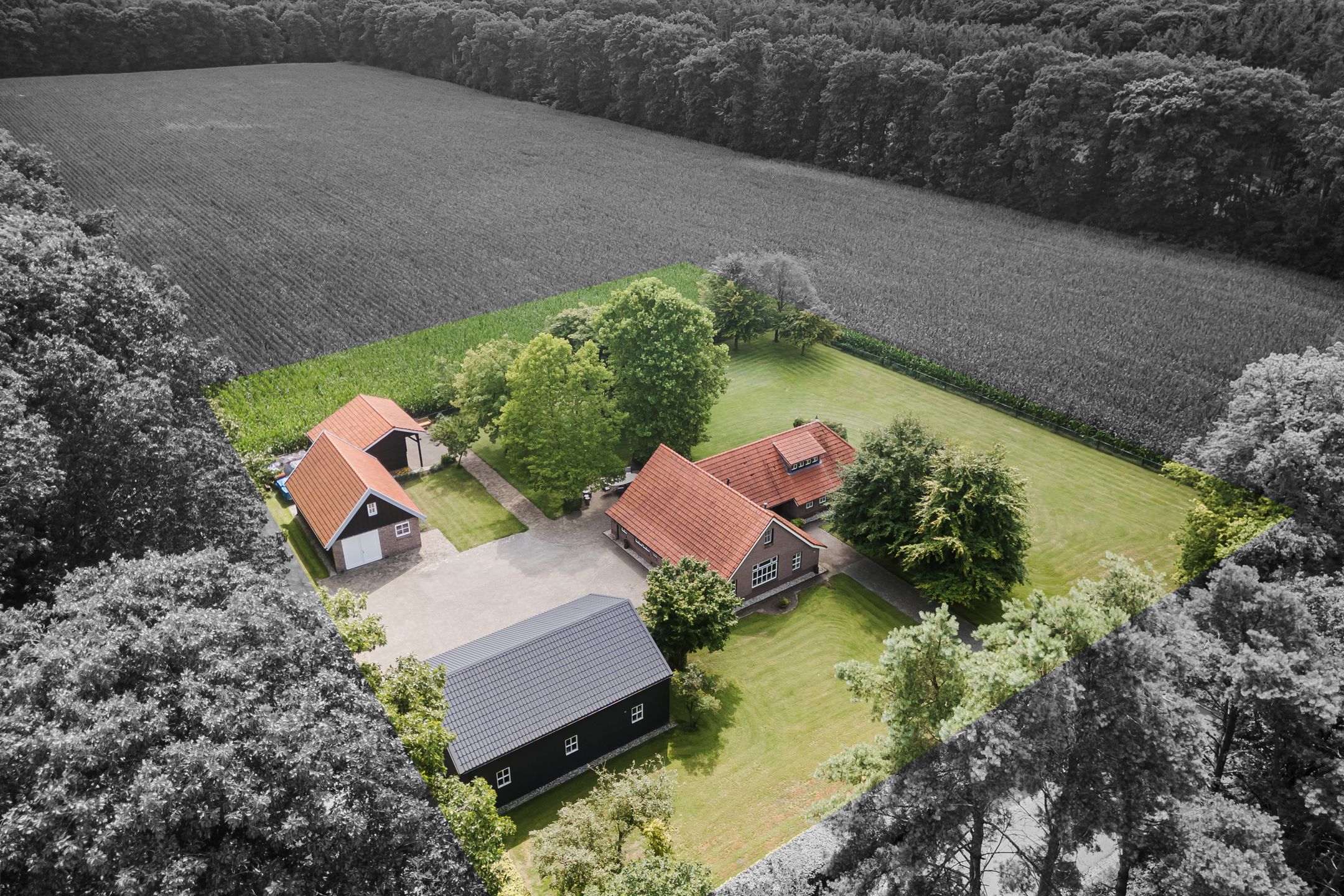 Foto 3 van Rheezerveenseweg 14