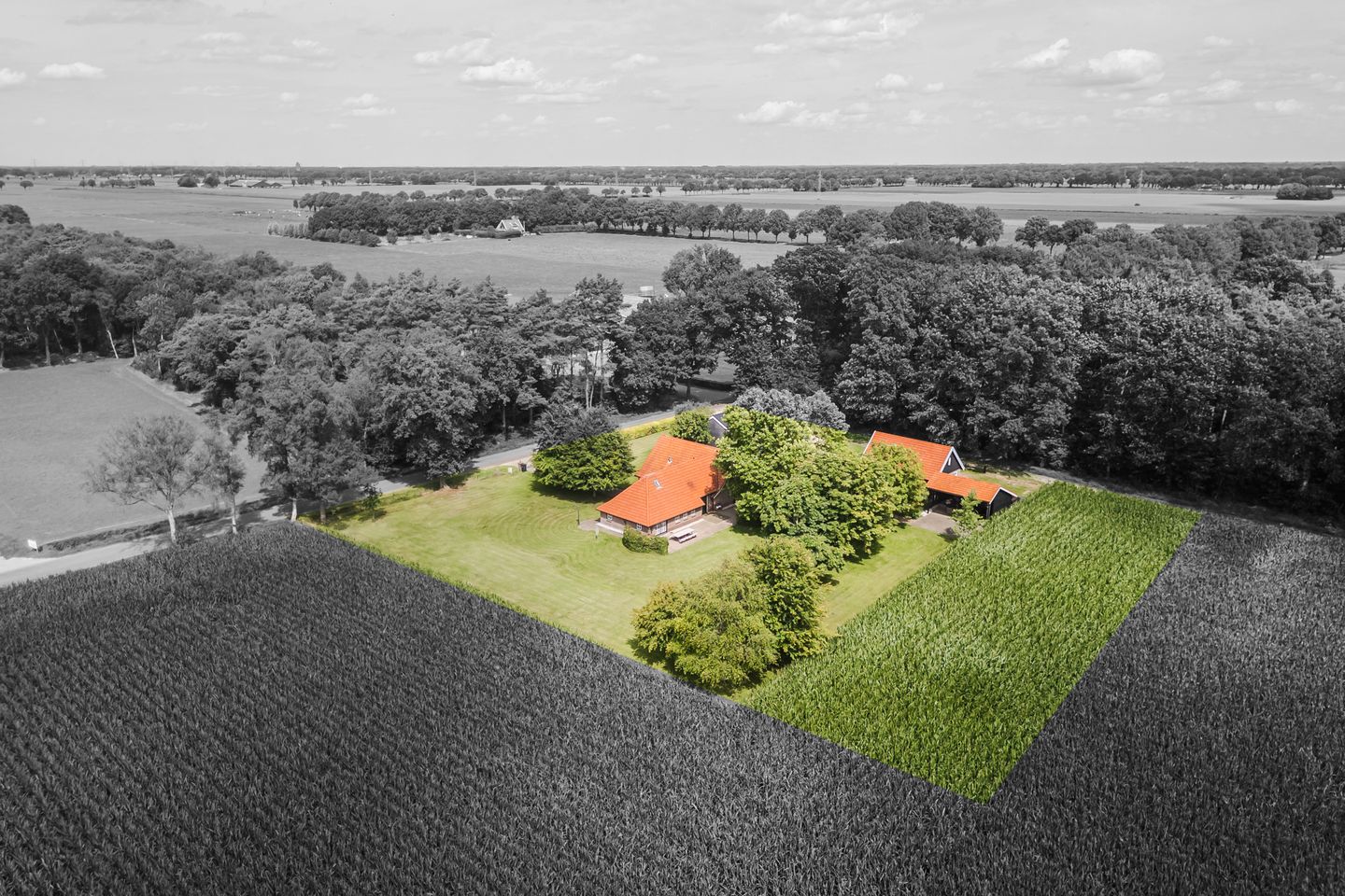 Foto 4 van Rheezerveenseweg 14