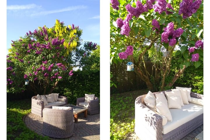 Foto 35 van Nieuwstraat 7