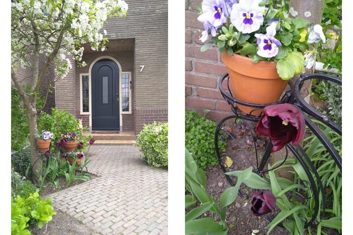 Foto 39 van Nieuwstraat 7