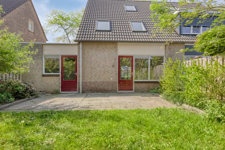 Foto 4 van Golden Delicious 6