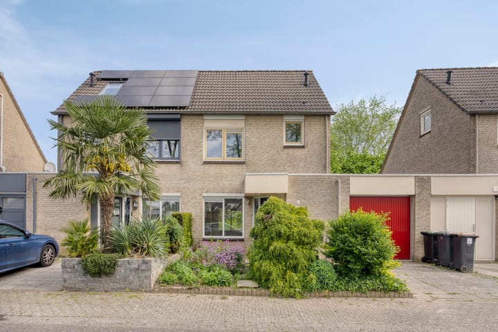 Foto 5 van Golden Delicious 6