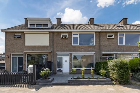 undefined main image