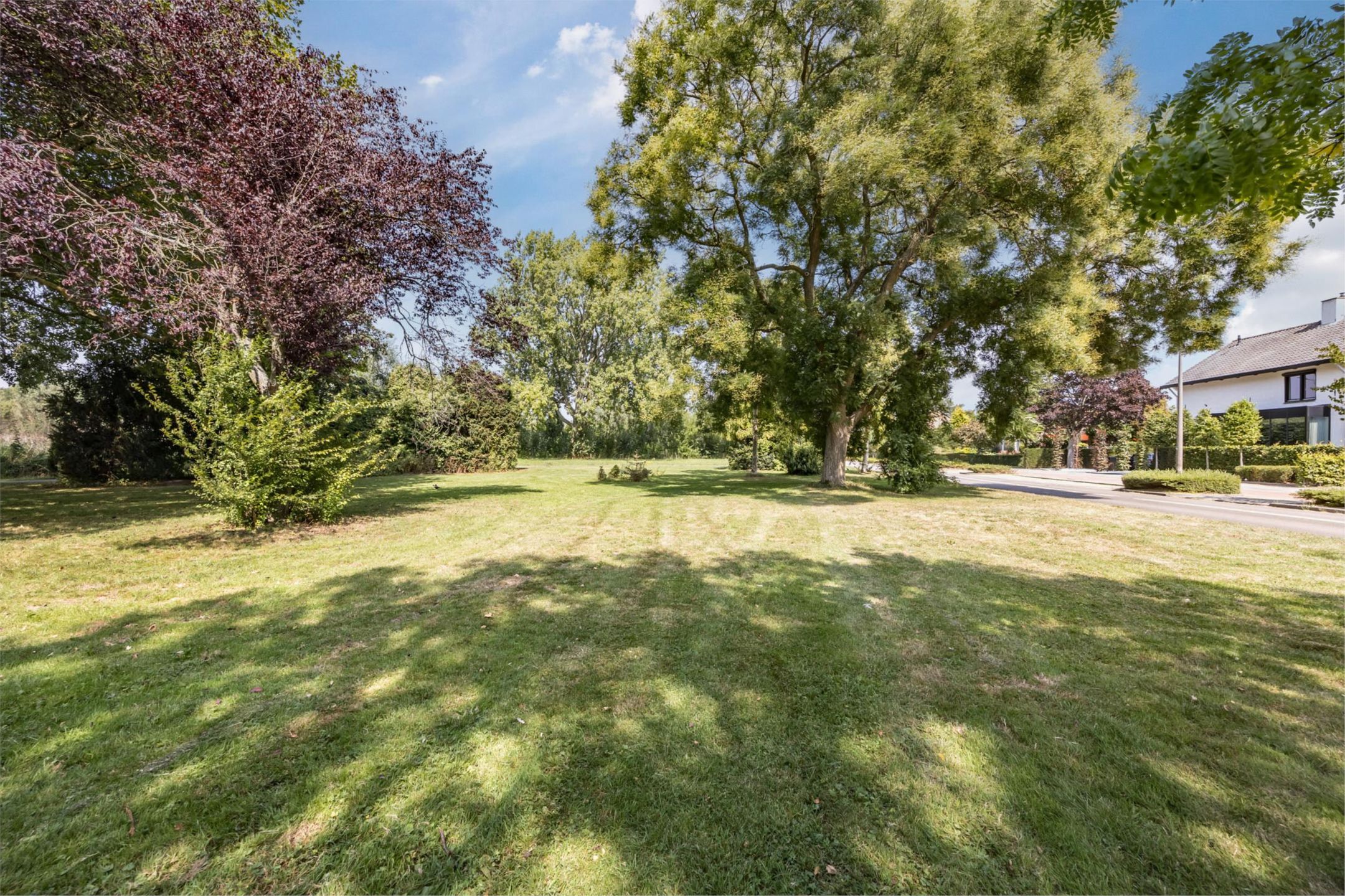 Foto 48 van Bernhard Zweersstraat 59