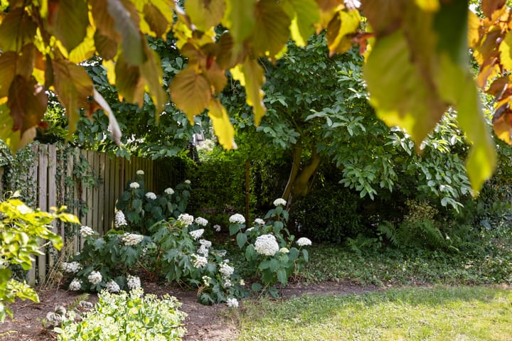 Foto 51 van Amalia van Solmsstraat 31