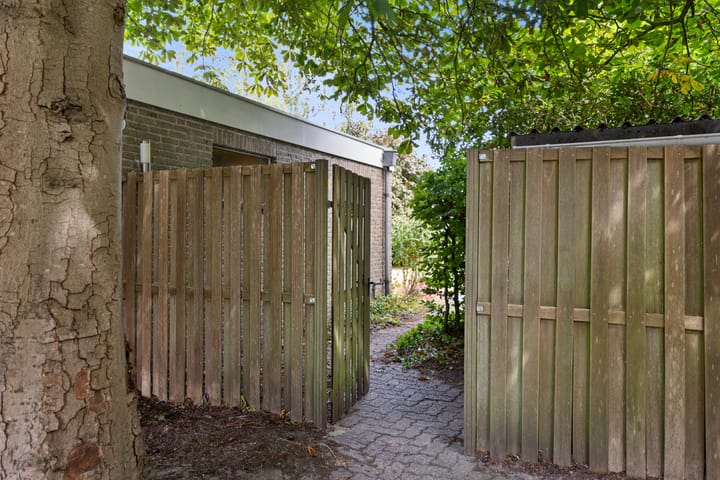 Foto 60 van Amalia van Solmsstraat 31