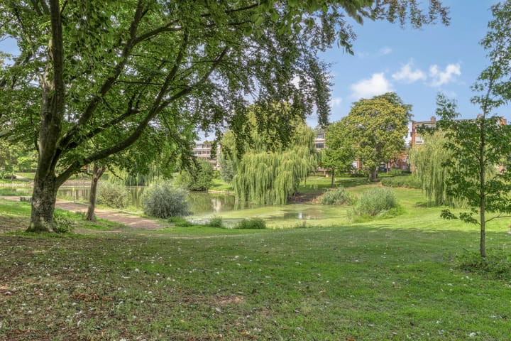 Foto 21 van Vermeerstraat 41