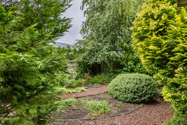 Foto 12 van Buitendams 310