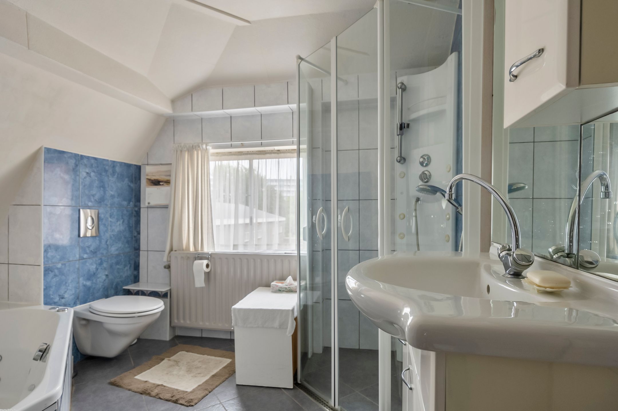 Foto 18 van Buitendams 310