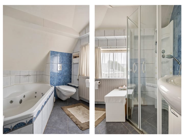 Foto 19 van Buitendams 310