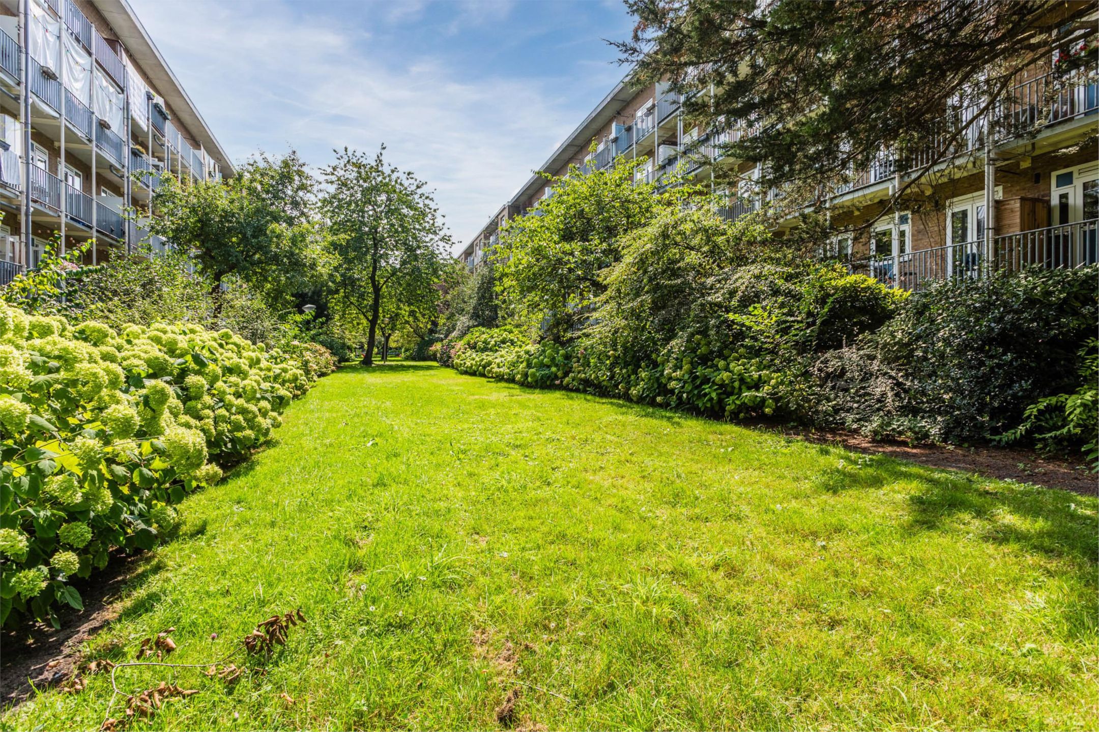 Foto 30 van Geuzenstraat 45-1