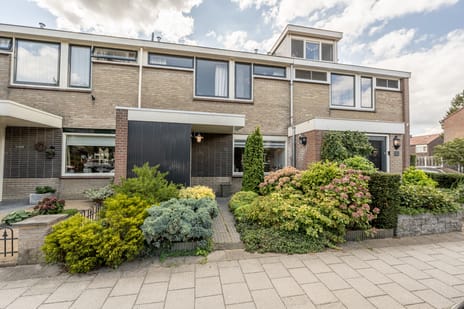 undefined main image