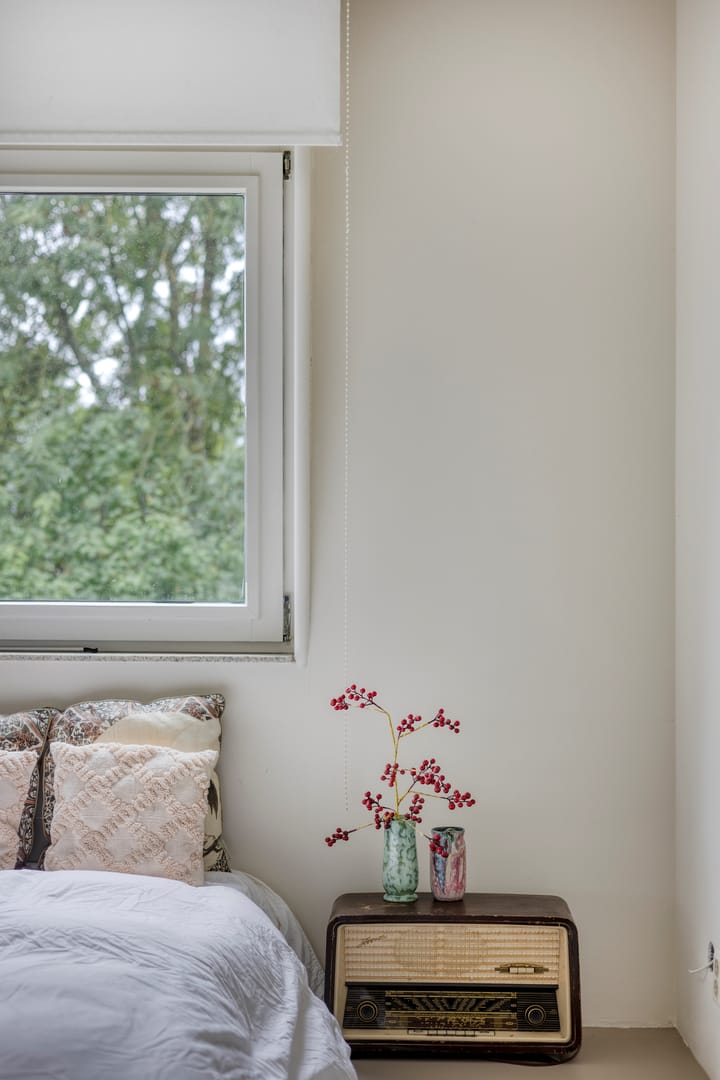 Photo 20 of Flevoparkweg 110